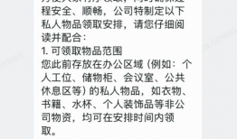 九一精品国产免费